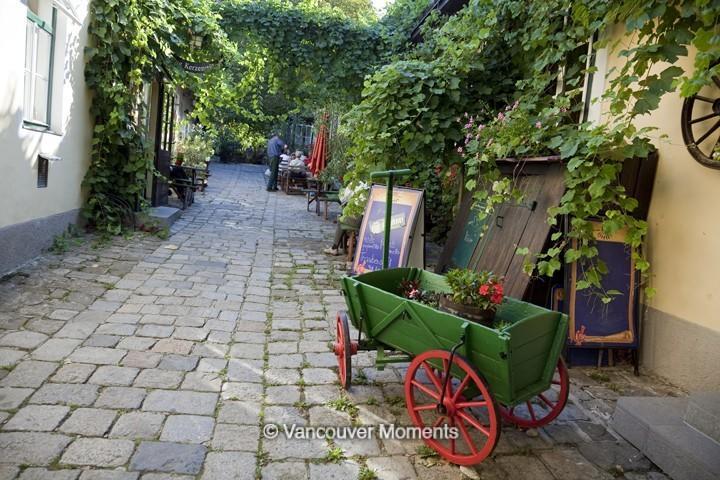 Marus Apartment Grinzing Viyana Dış mekan fotoğraf